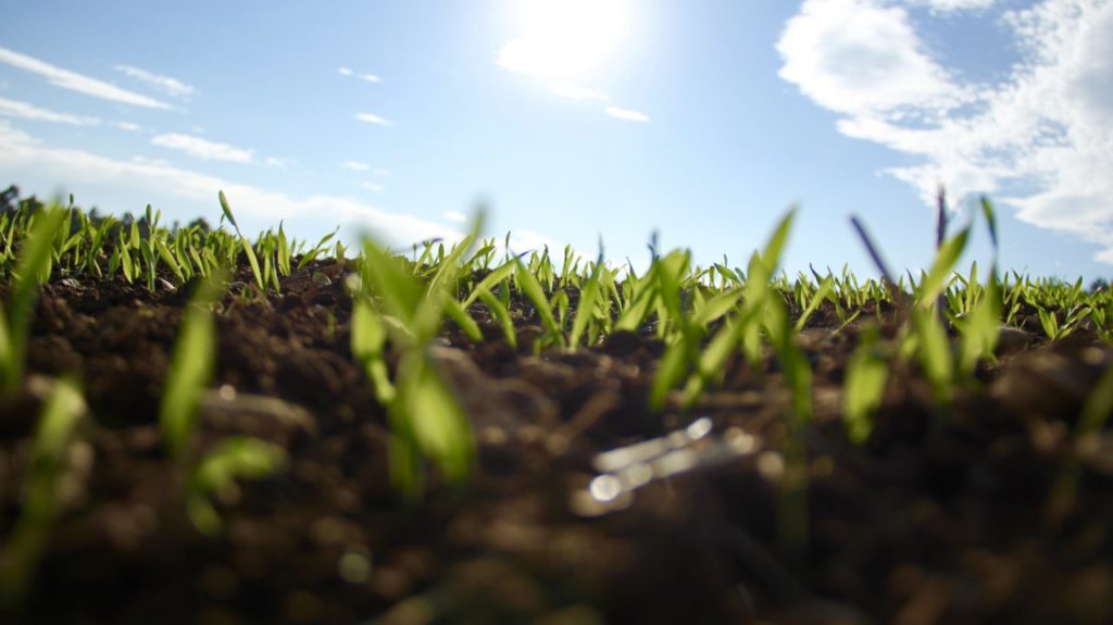 seed funding, razi karim, capital gains podcast, capitalism