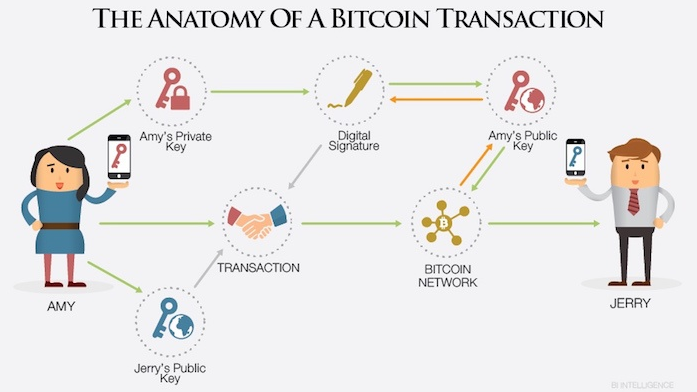 What Is Bitcoin And How Does It Work Trace Mayer Explains Capitalism - 