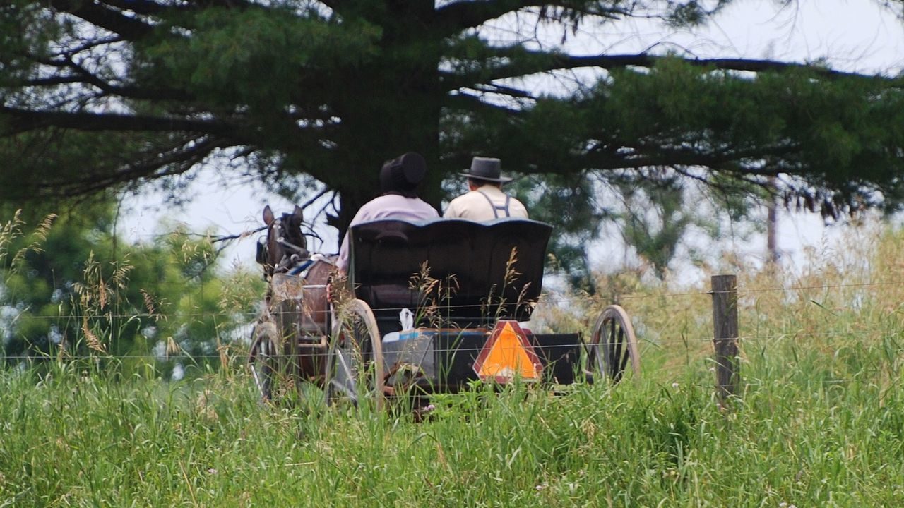 making a living, amish, government regulation