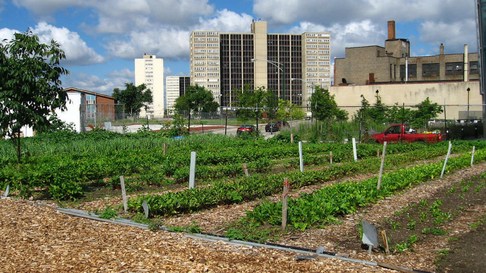 urban farming, business, capitalism