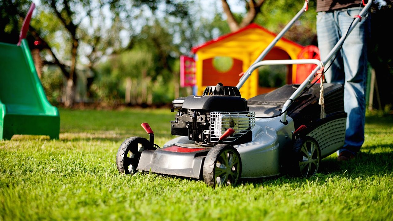 business license regulation, lawn mowing business, small business