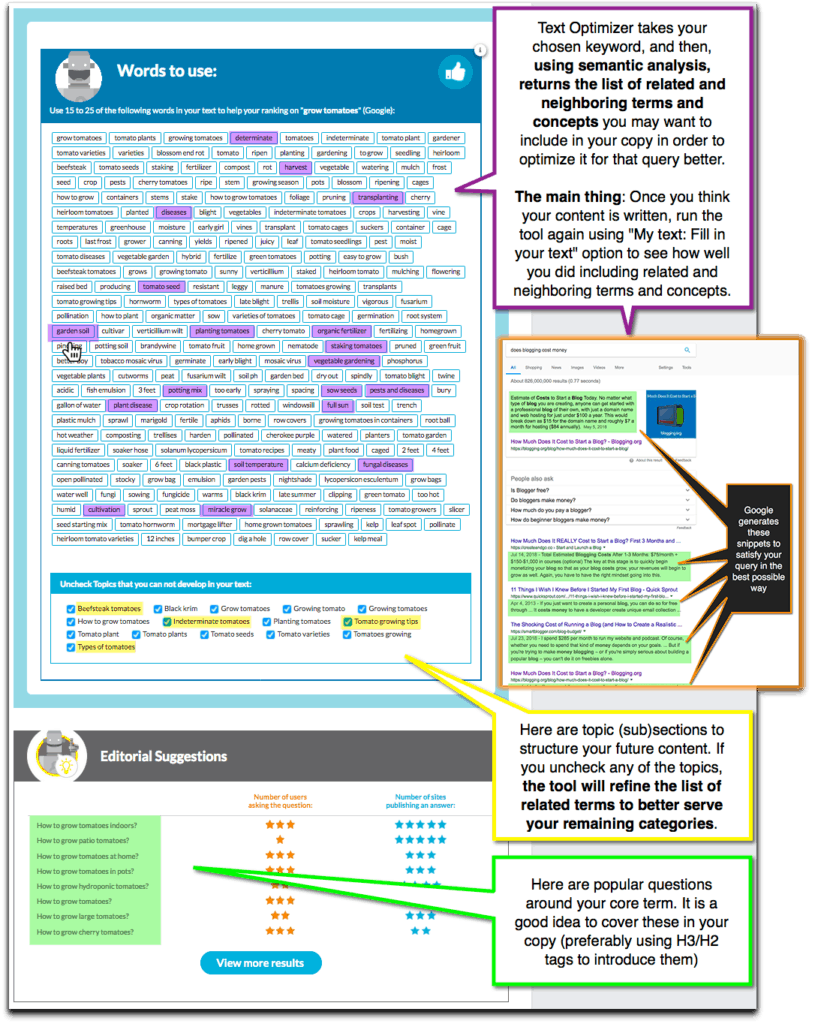 how text optimizer works