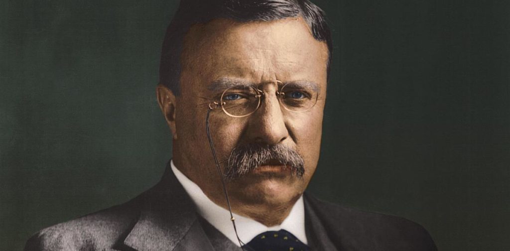 Theodore roosevelt leadership quote