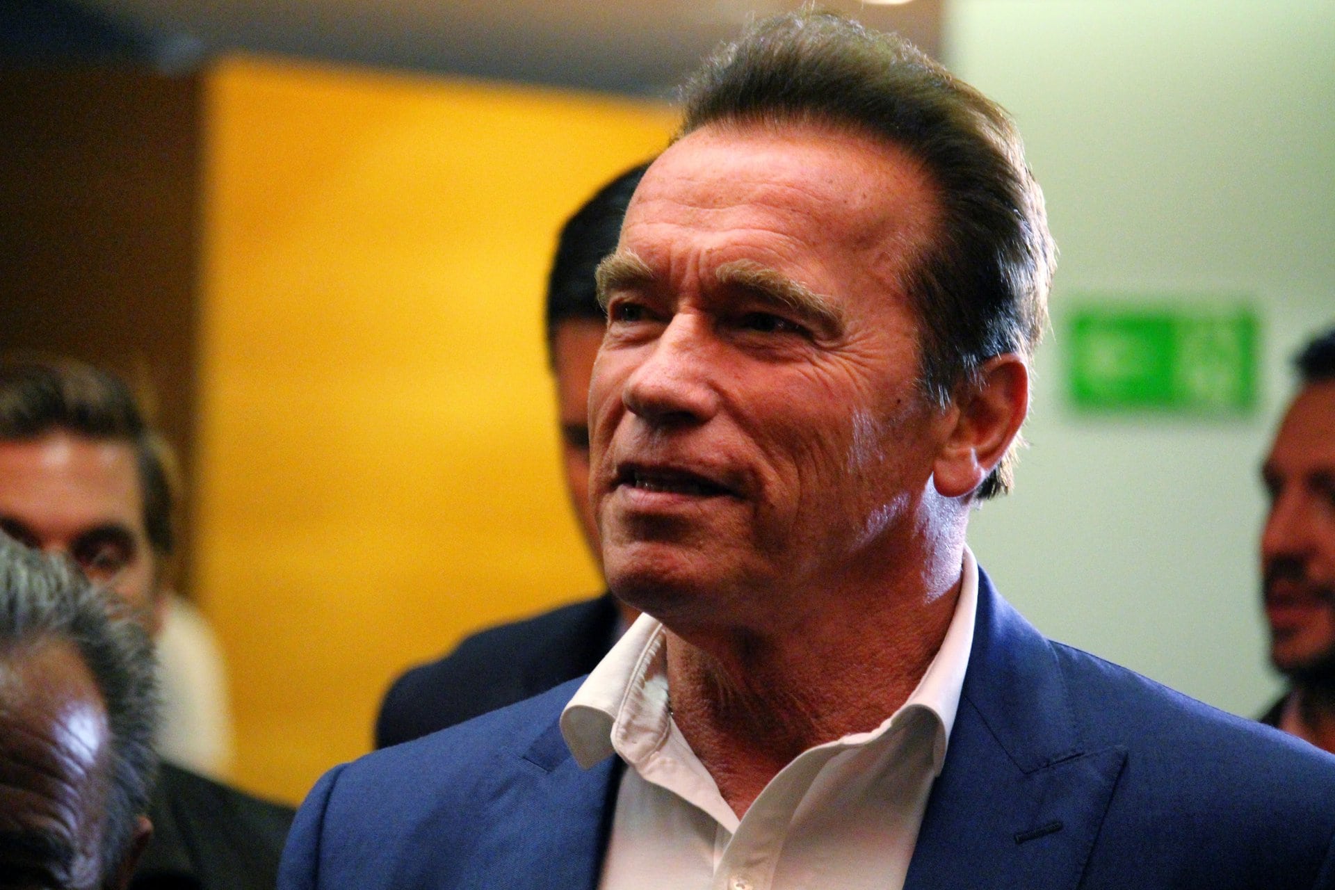 Arnold Schwarzenegger's Net Worth and Story