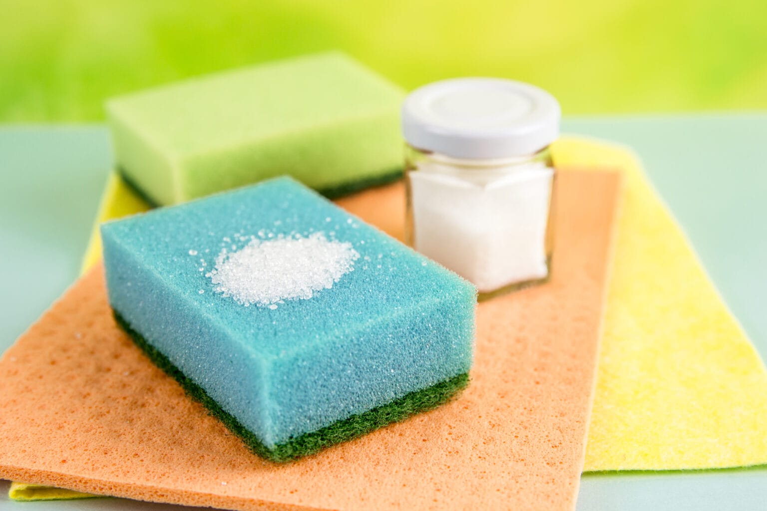 Entrepreneur Success Story Blueland